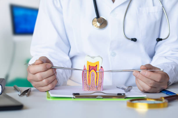 Best Emergency Dentist for Special Needs Patients in Vega, TX